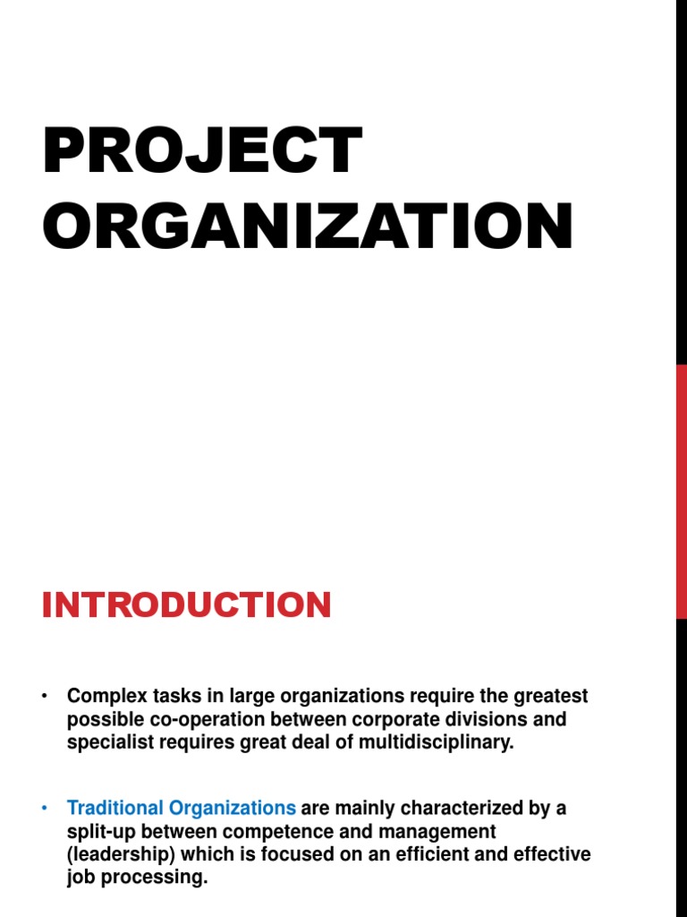 Project Organization Strategies Explained | PDF | Project Management ...