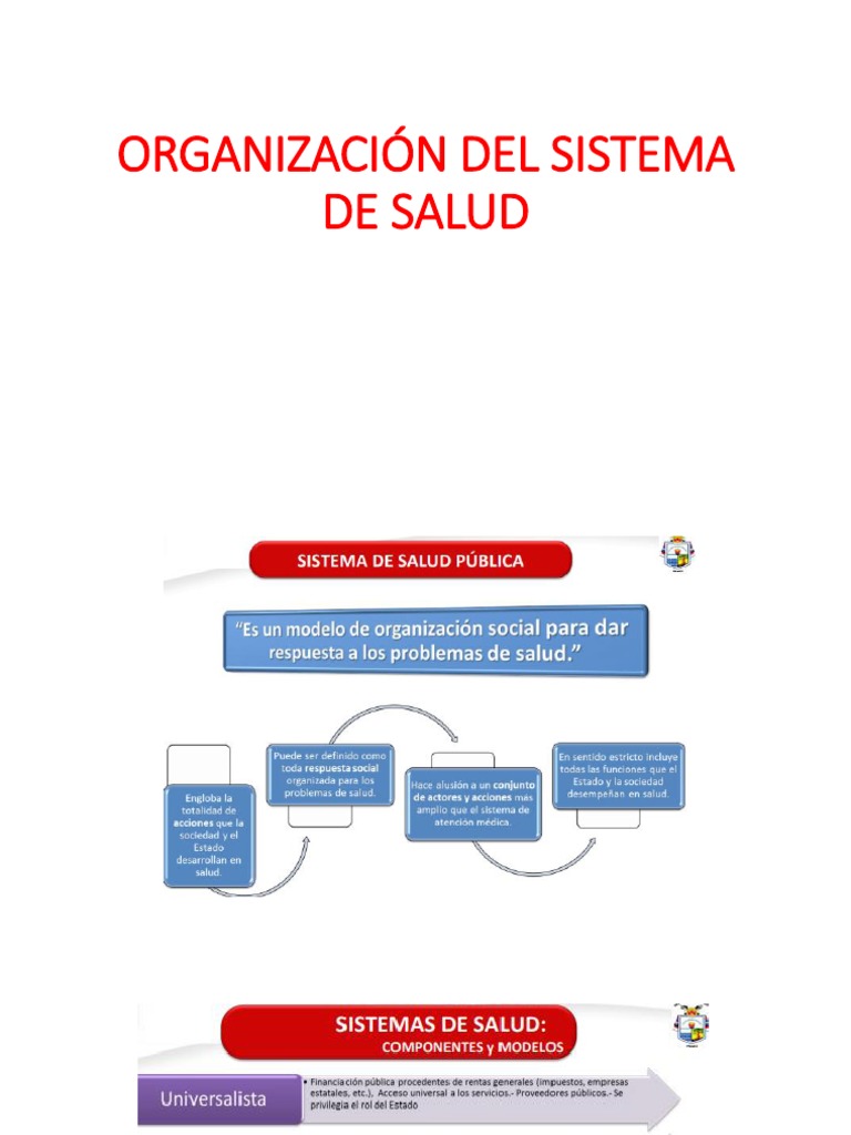 Organización del Sistema de Salud en Perú | PDF