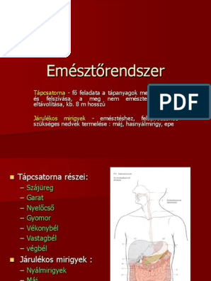 vastagbél méregtelenítő nedvek