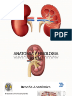 Anatomia y Semio Renal