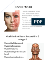 Muschii Faciali