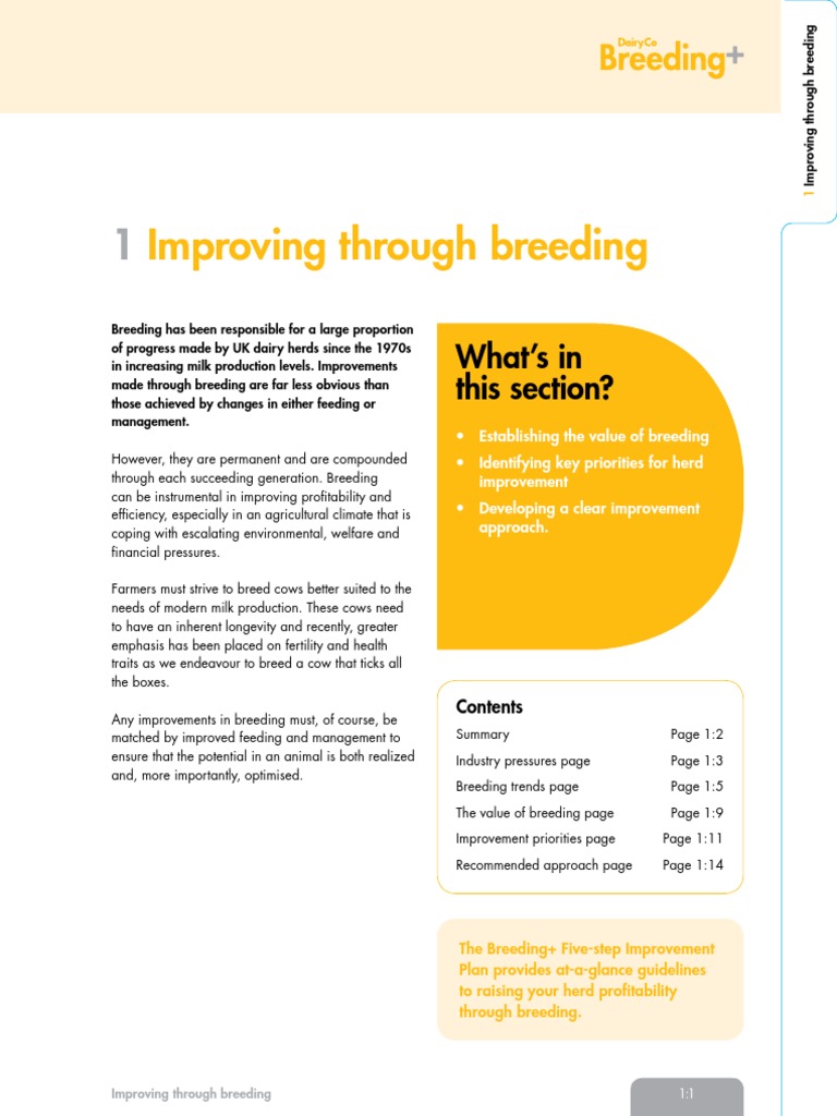 Breeding Strategies for Dairy Cows | PDF | Dairy Cattle | Cattle