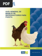 Como Calcular La Conversión Alimenticia en Aves de Postura | PDF ...