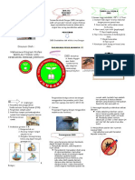 dhf LEFLET 1