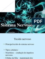 Sist Nervoso - ppt2