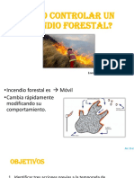 Como Controlar Un Incendio Forestal