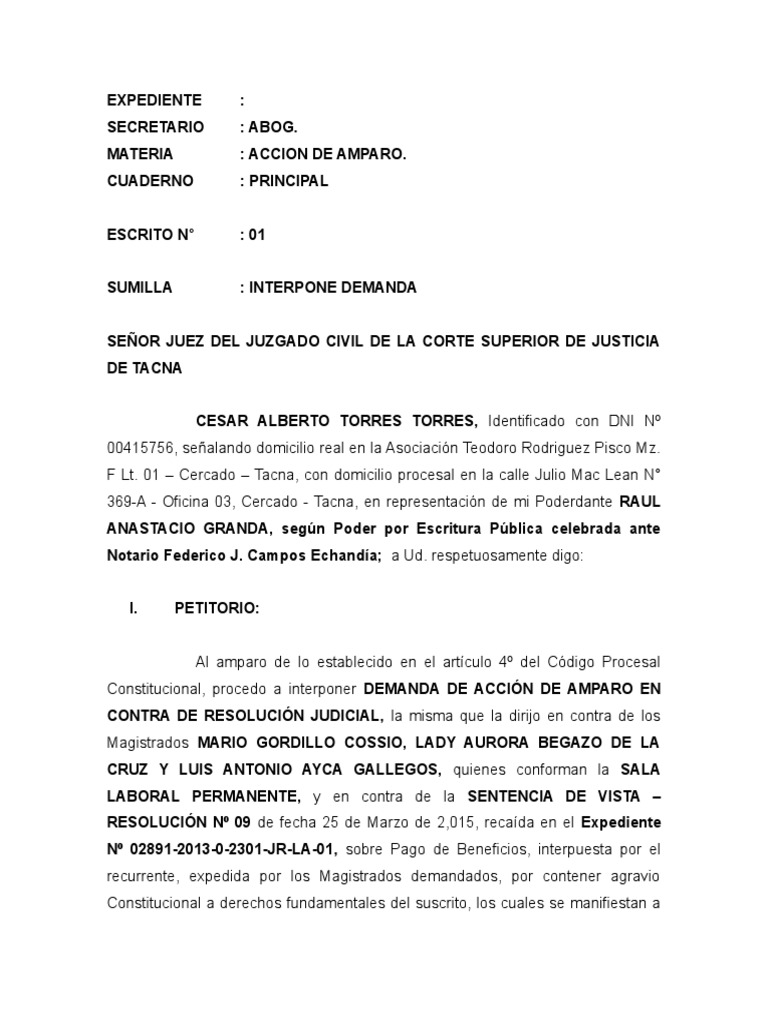 Demanda de Amparo contra Resolución Judicial | PDF | Derecho ...