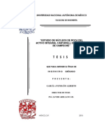 Tesis.pdf