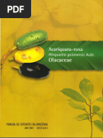 Manual de Sementes Da Amazônia - Arariquara-roxa