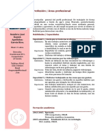 Curriculum Vitae Modelo3c Granate