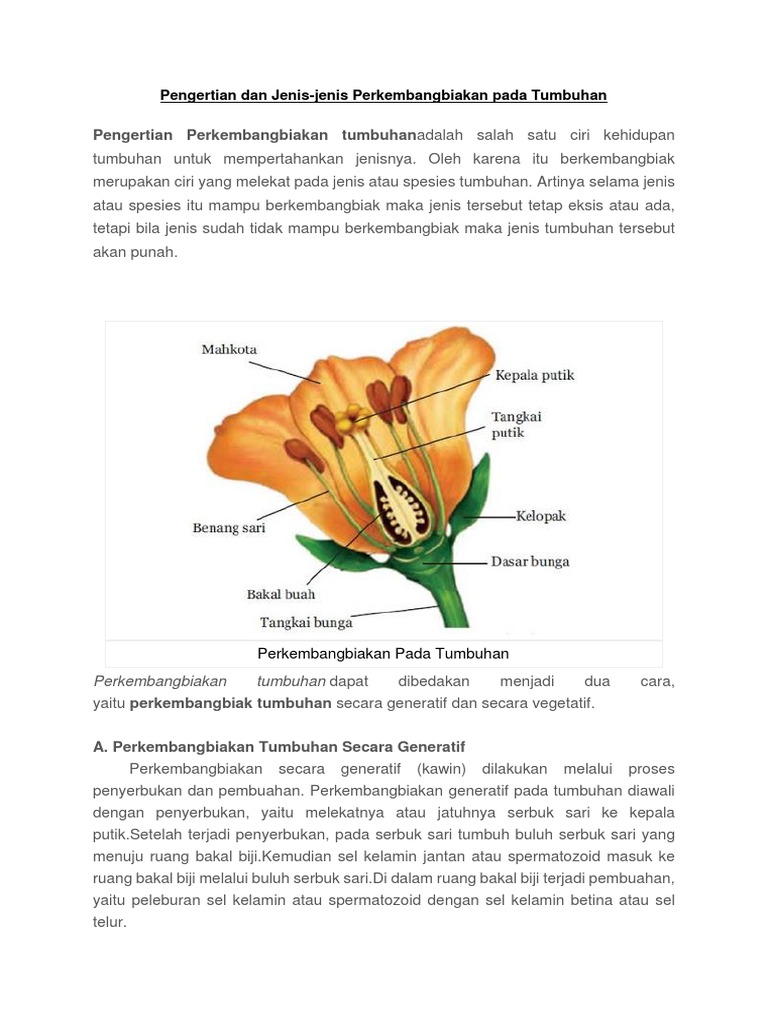 Perkembangbiakan Tumbuhan Kelas 6 Sd
