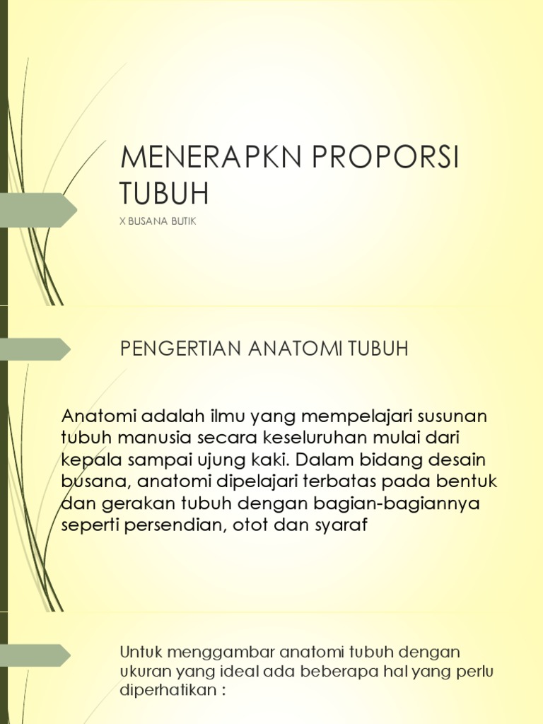 Proporsi Tubuh