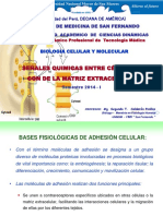 TM Clase 6. Señales Quimicas Entre Celulas y Con La Matriz Extracelular