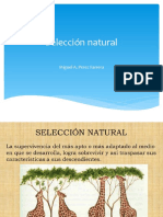 seleccion natural 1.pdf