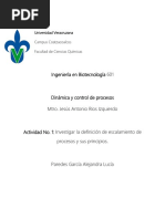 Definicion de Escalamiento de Procesos y Sus Principios Revisión