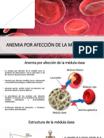 Anemia Por Afección de Médula Osea