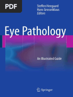 Estadística Básica Aplicada | PDF | Cornea | Retina