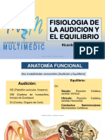 Fisiología El Oido