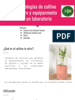 Cultivo in Vitro Expo