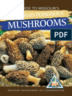 Mushrooms: Edible and Poisonous