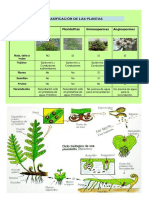 CTA SETIEMBRE.pdf