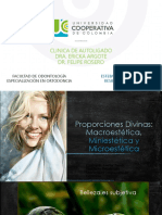 Proporciones Divinas-Macroestética, Miniestética, Microestética