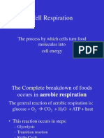 Ch7 Cell Resp