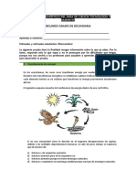 2do Secundaria - PRUEBA de CTA