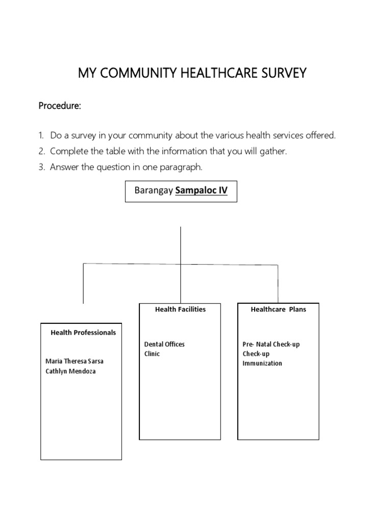 Community Healthcare Survey Overview | PDF | Patient | Health Care