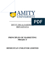 Principles of Marketing Project