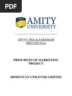 Principles of Marketing Project