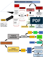 Procedimiento concursal  caracteres