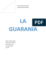 LA GUARANIA - Jonathan Carabajal