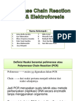 Biomol Pcr Dan Elektroforesis
