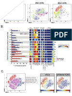 Berger Et Al 2019, Figure 2