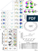 Kimball Et Al 2018, Figure 7