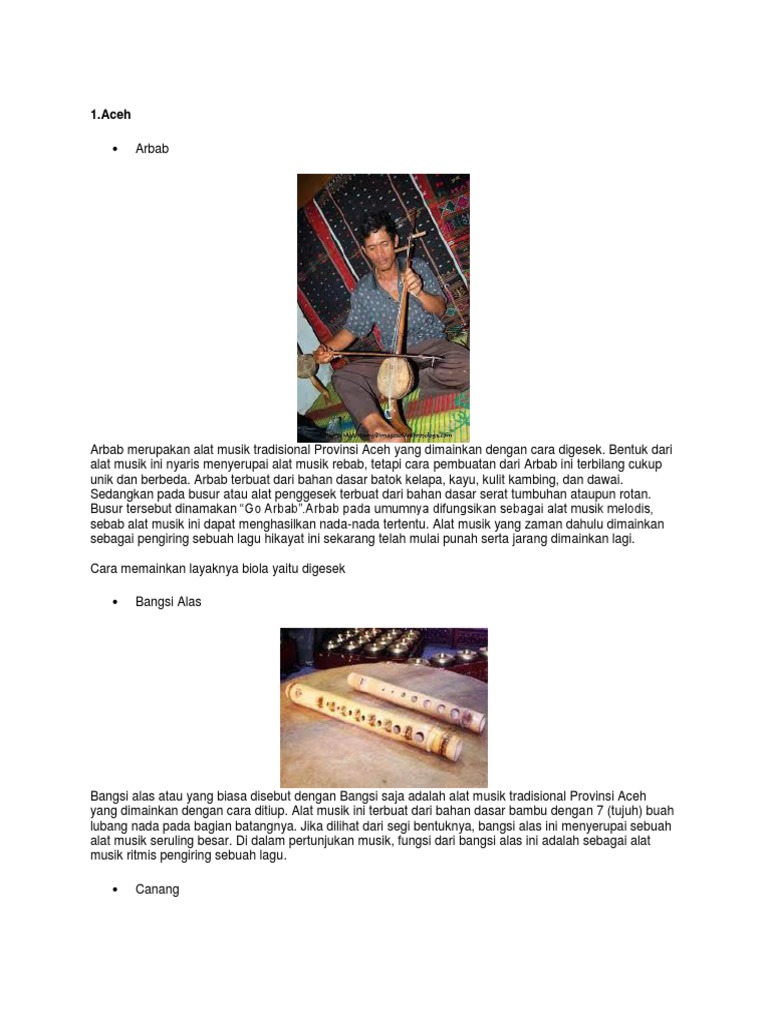 Alat Musik Tradisional Docx