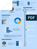 Satish Kumars CV