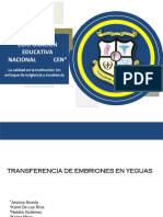 Transferencia de Embriones en Yeguas