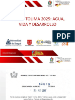 Presentacion Resumida Vision PDF