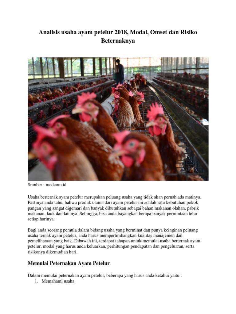 Analisa Usaha Ayam Petelur 2018