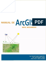 MANUAL DE ARCGIS INTERMEDIO  .pdf