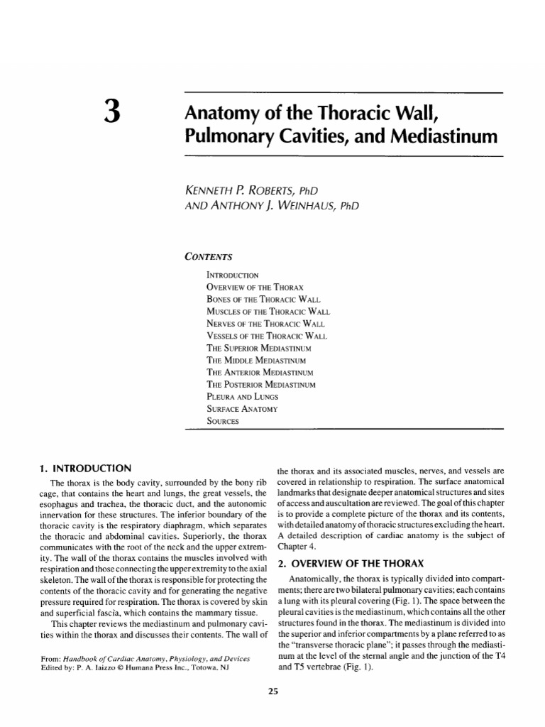 Anatomy of The Thoracic Wall, Pulmonary Cavities, and Mediastinum | PDF ...