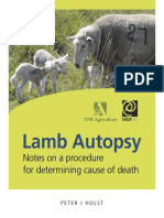 Lamb Autopsy: Notes On A Procedure For Determining Cause of Death