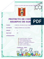 INFORME PROYECTO DE CIENCIA SHAMPOO DE SABILA.docx
