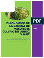 diagnostico-arroz-maiz.pdf