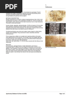 Vesi Tree: Intsia bijuga Overview | PDF | Earth Sciences | Trees