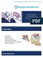 Introducción A La Neurolingúística 2019