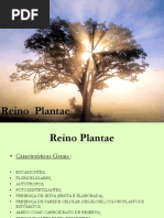 Reino Plantae 2 Ano
