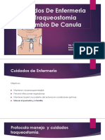 cuidadosTQT.pdf